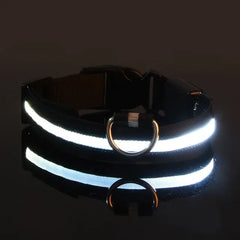 Black / Extra Large Flashing Glow Dog Collar