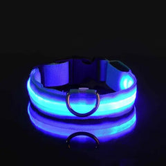 Blue / Medium Flashing Glow Dog Collar
