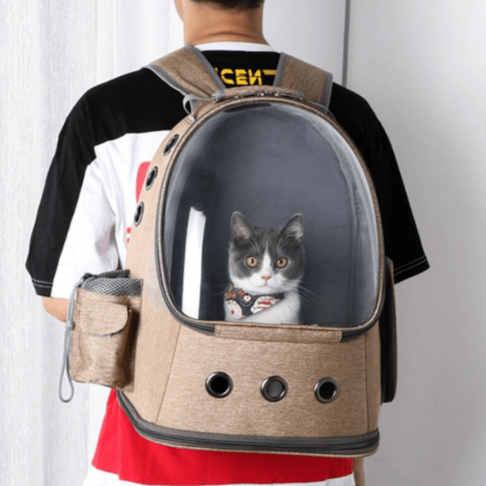 Cat Space Capsule Backpack