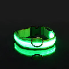 Green / Extra Large Flashing Glow Dog Collar
