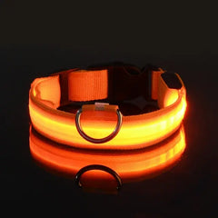 Orange / Small Flashing Glow Dog Collar