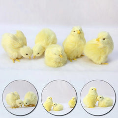 Realistic Simulation Chick Toy