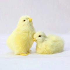 Realistic Simulation Chick Toy