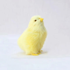 Realistic Simulation Chick Toy