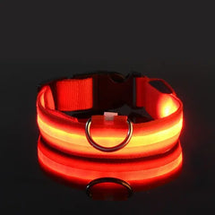 Red / Small Flashing Glow Dog Collar