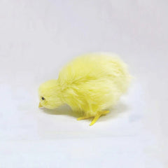 Stye 4 Realistic Simulation Chick Toy