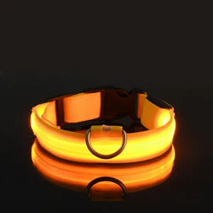 Yellow / Medium Flashing Glow Dog Collar